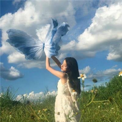 仙女座报告