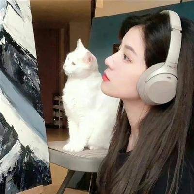 水上回光
